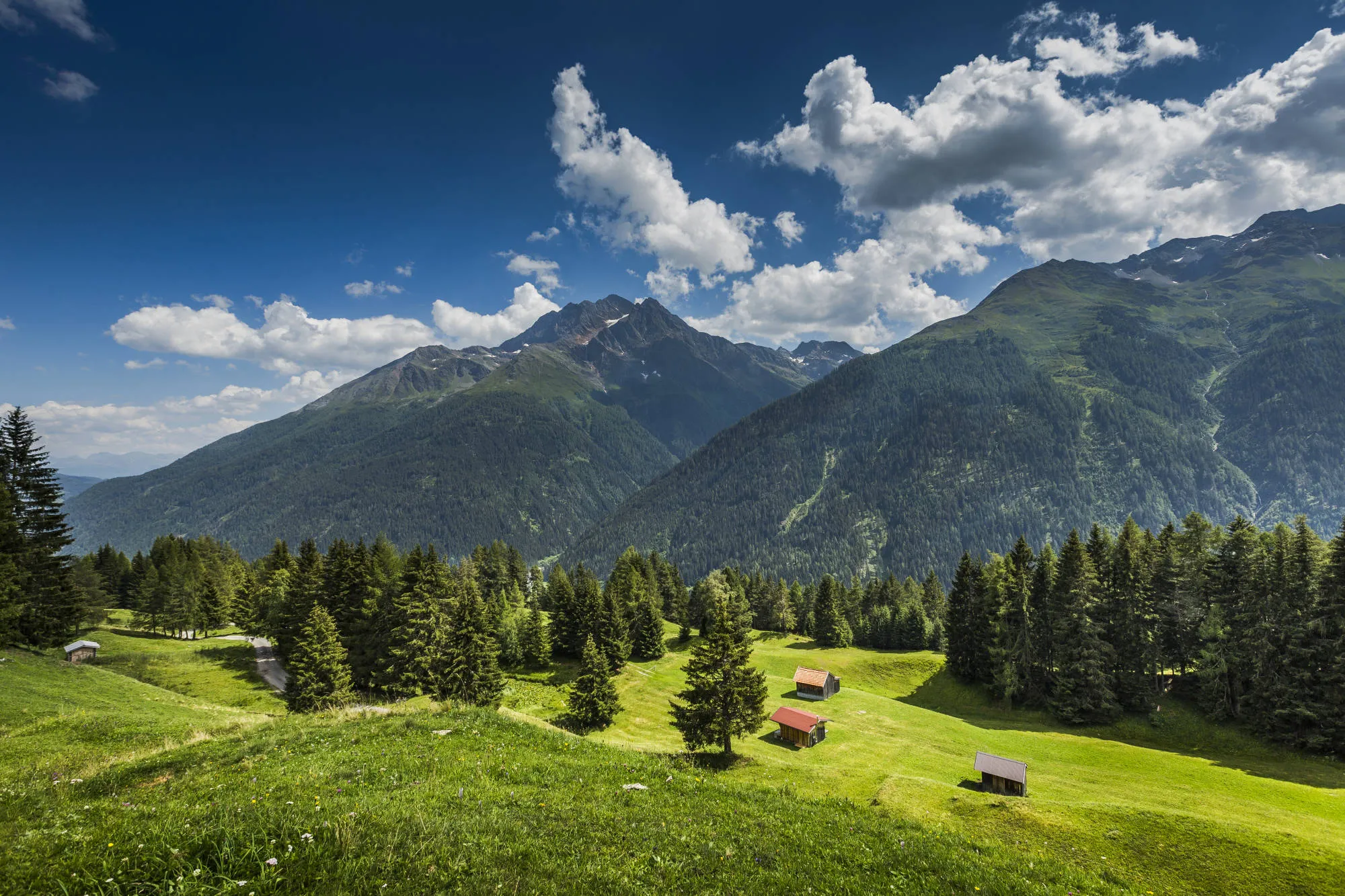 Filmproduktion Kopfsalat Medien