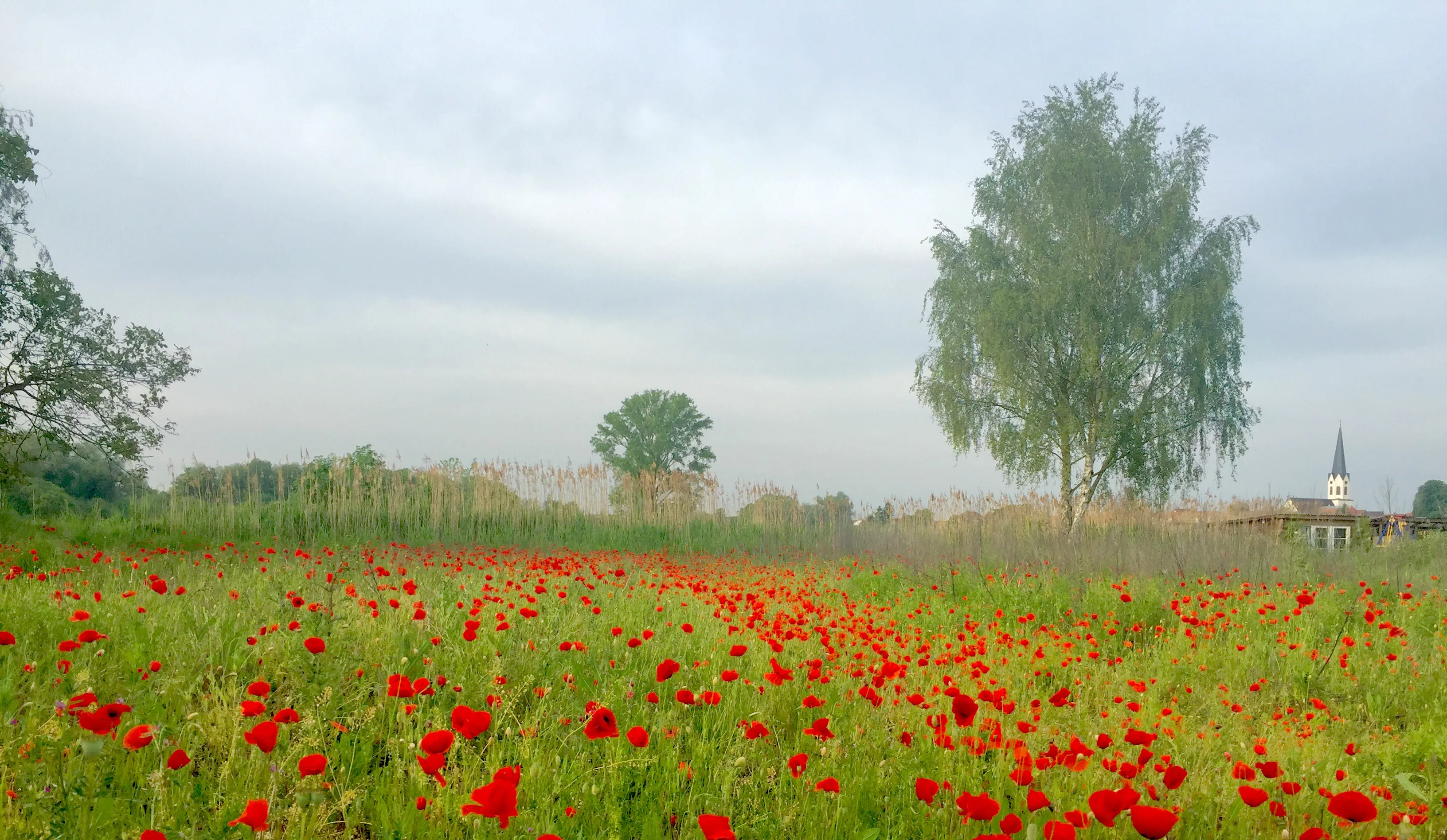 Filmproduktion Rheinland-Pfalz, Mannheim und Heidelberg