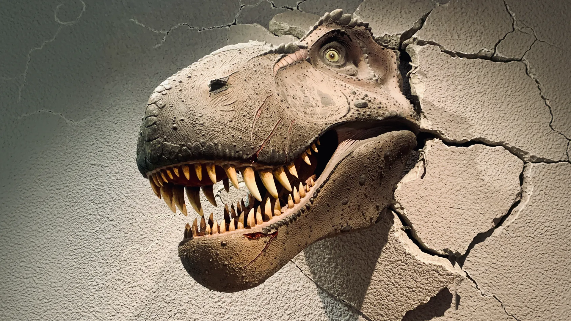 Filmproduktion Stuttgart Baden-Württemberg