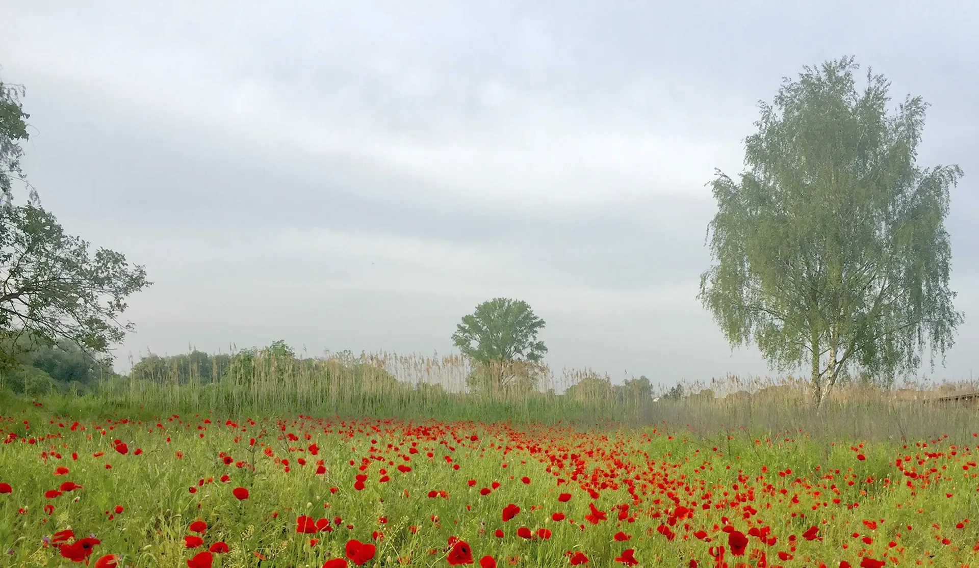 Medienpakete fuer regionale Betriebe in der Suedpfalz und Karlsruhe