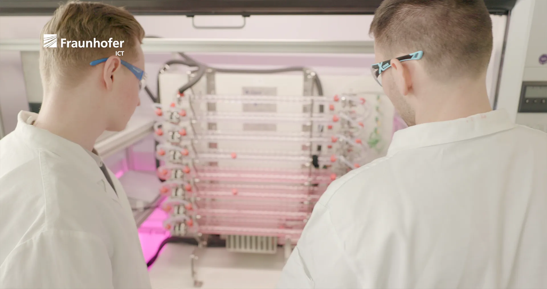 Wissenschaftsfilm Karlsruhe – Kopfsalat Medien